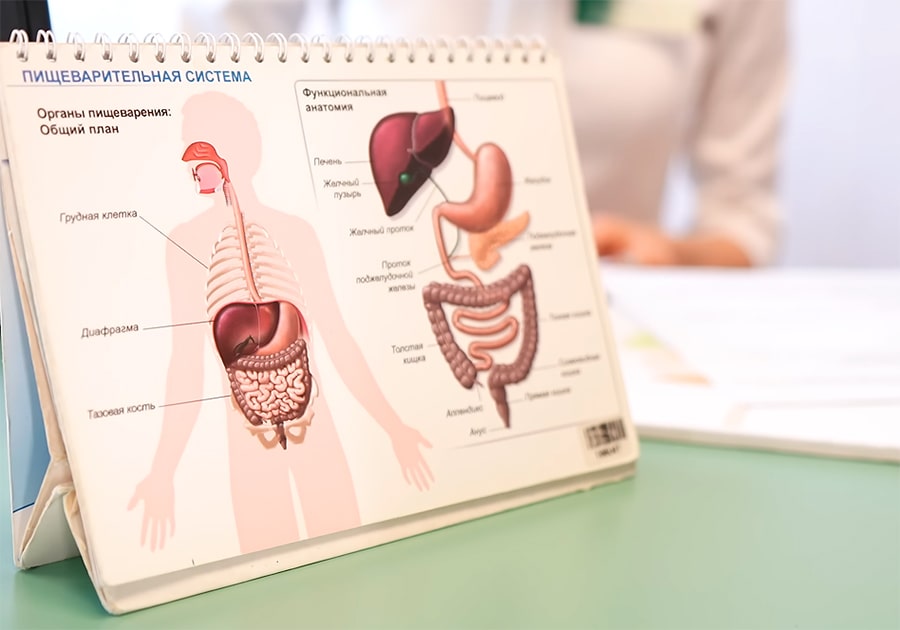 прием гастроэнтеролога